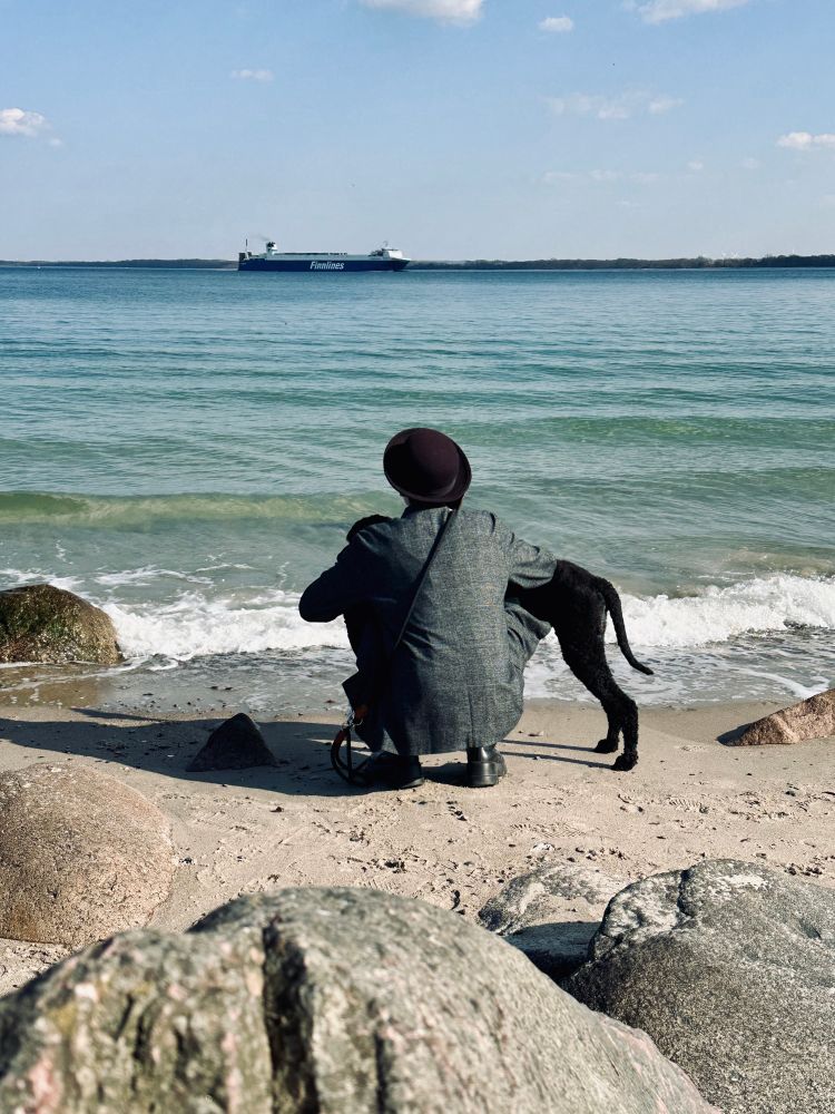In der Mitte des Bildes hockt eine Frau mit Hut, die von hinten zu sehen ist. Sie schaut aufs Meer, dass sehr klar ist und ein Schiff am Horizont. Vor ihr steht ein ein schwarzer königspudel, aber man sieht nur den Hintern und die hinteren Beine. Vorne im Bild ist Strand und mehrere große Steine. 