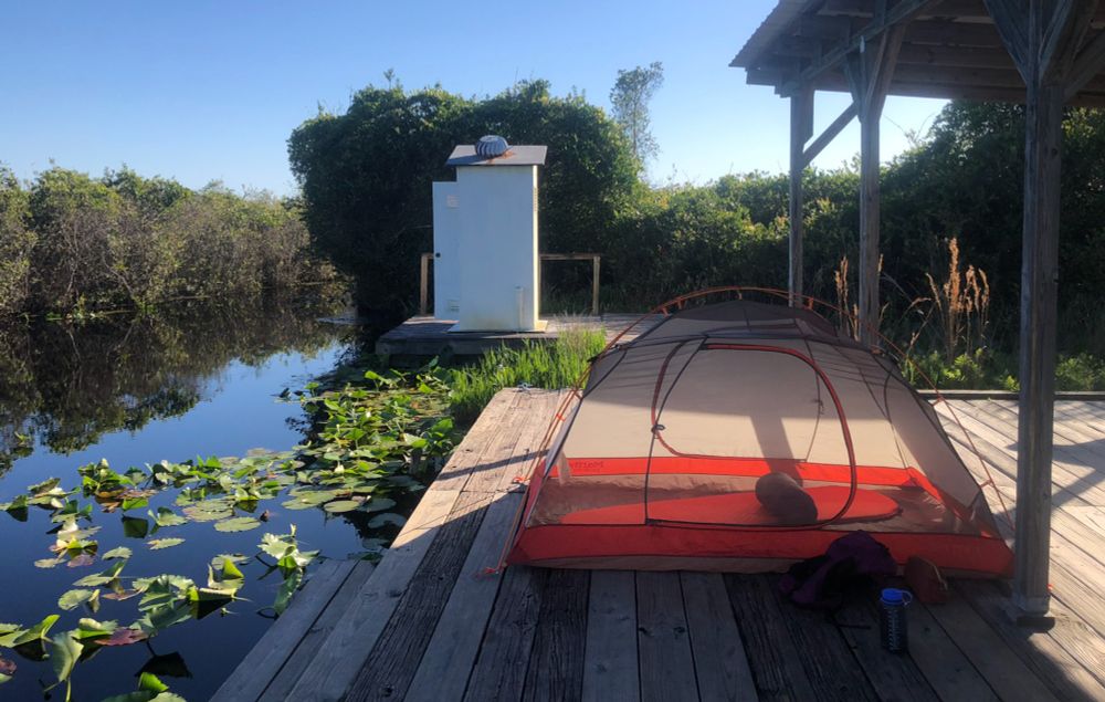 A Swamp Tour of the American Southeast