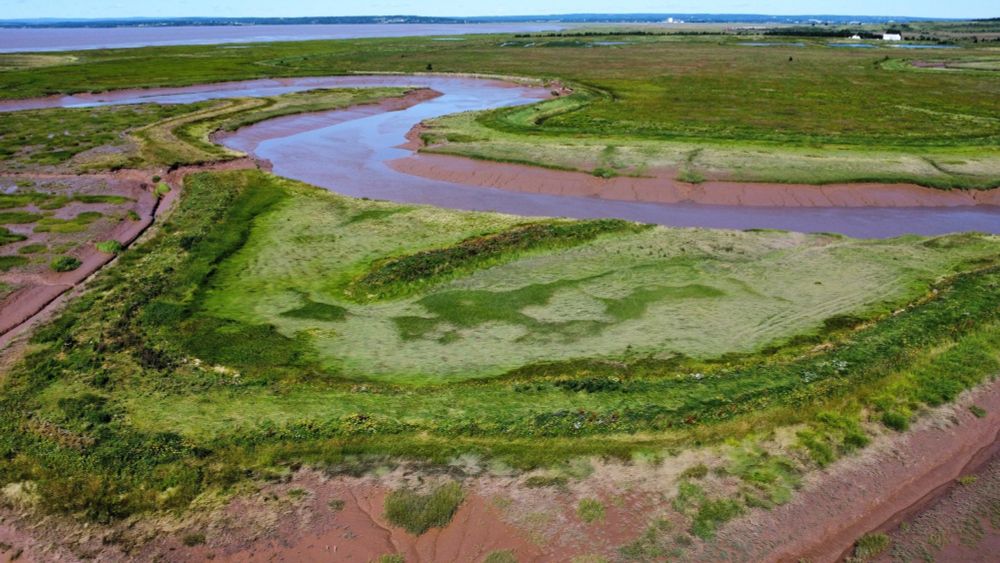 Exploring 3D Capture to Preserve the Changing Tantramar Marshes’ Tidal Wetland Landscape