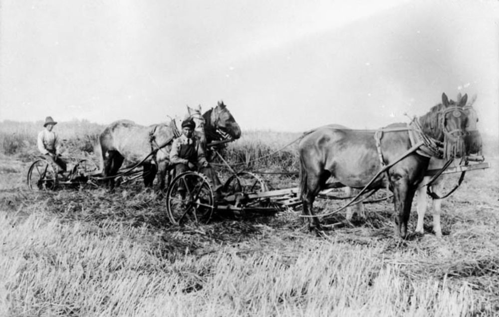 Indian Residential Schools: An Environmental and Gender History