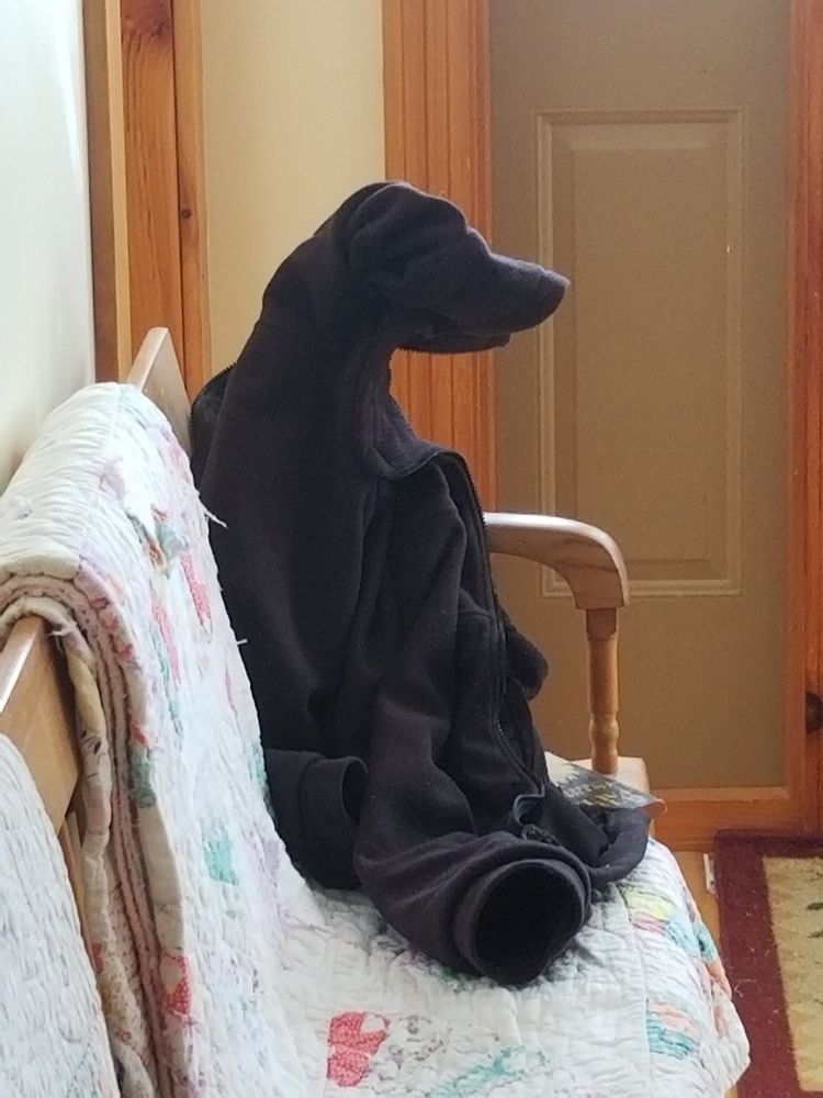 a jacket on a bench in a hallway that has somehow landed in he shape of a dog in profile
