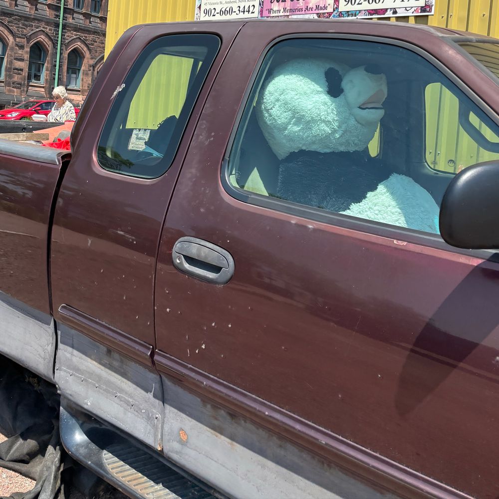 big stuffed panda in a truck