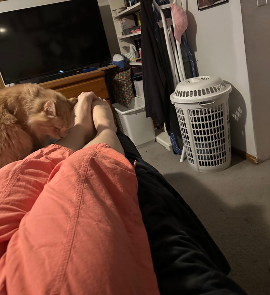 My cat Petey sniffing my leg