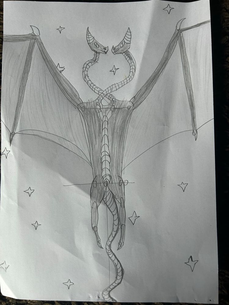 A black and white sketch of a dragon flying overhead.
The dragon has two heads on snake like necks, each face being shown from the side, each face resembling a crescent moon