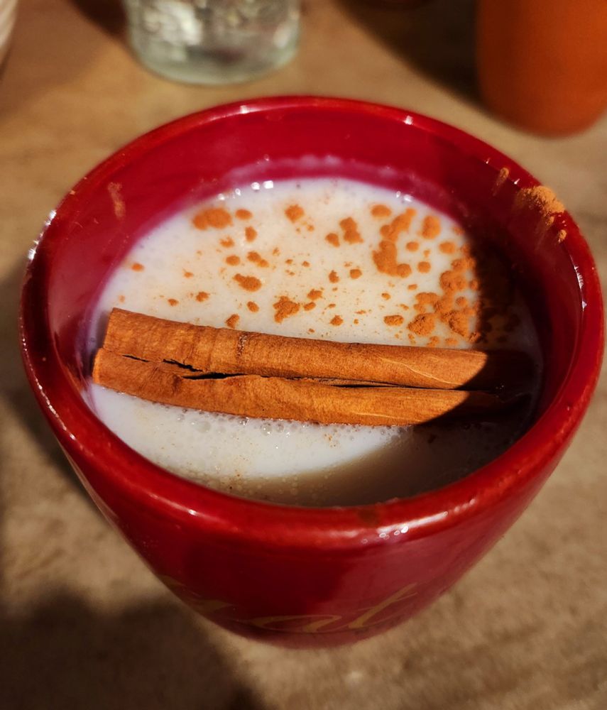 Red thick cup of white liquid with terracotta-colored powder sprinkled on top and a cinnamon stick