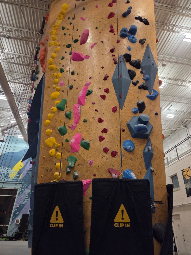 A photograph of a climbing gym wall with two autobelays and a bunch of colored holds.