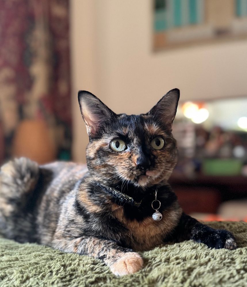 No thoughts only vibes