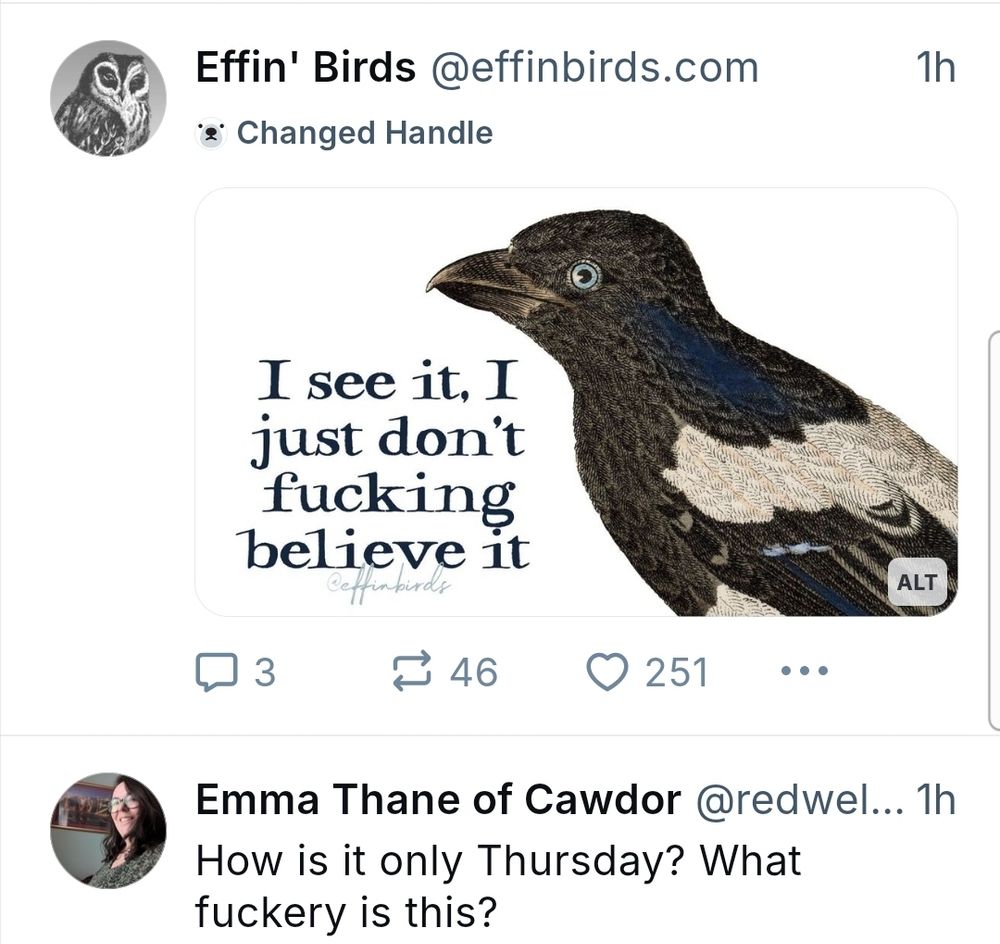 Two posts that have appeared next to each other in the feed, looking like they are in conversation with each other. 
The top post is from the account Effin' Birds and shows a painting of a bird beside the text "I see it, I just don't fucking believe it" 
The post below, by Emma Thane of Cawdor, asks the question "How is it only Thursday? What fuckery is this?"