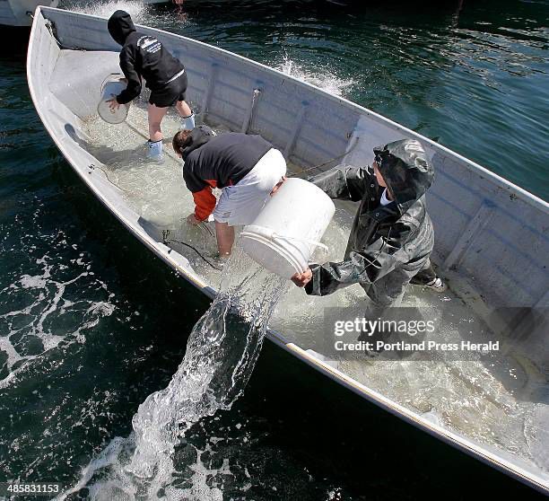 Getty images photo of people bailing water out of a sinking boat.