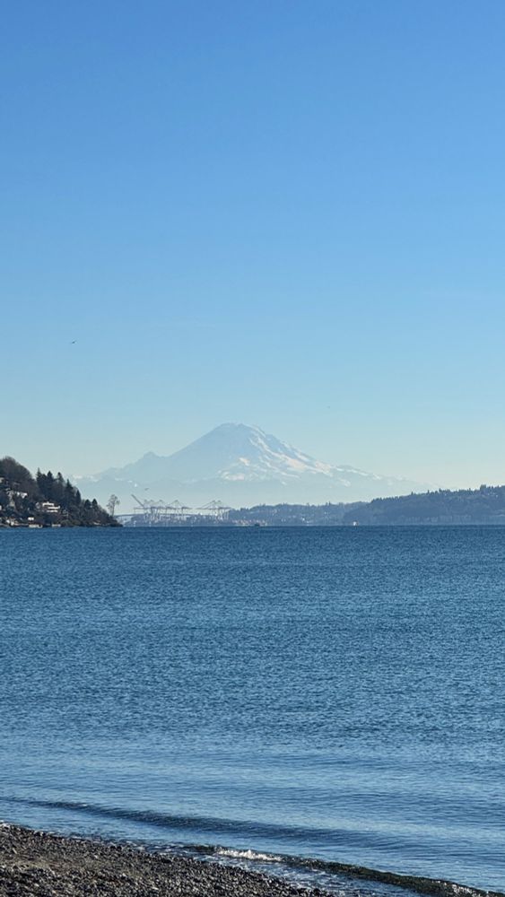 Mt rainier on a sunny day from Seattle’s Discovery Park