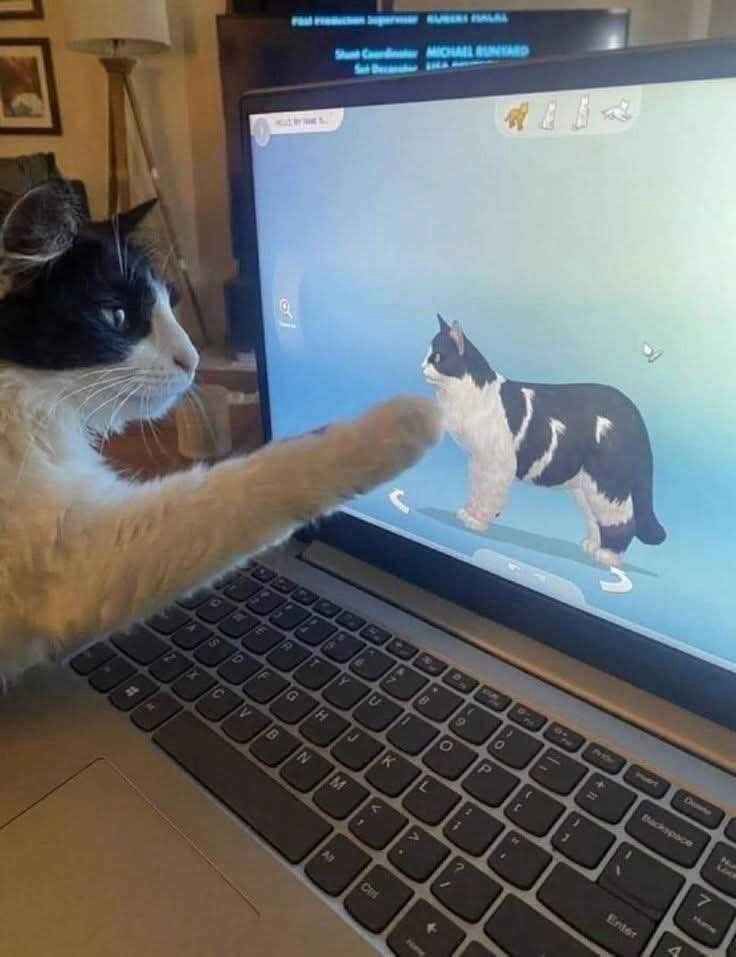 a black and white cat in front of a laptop with its paw on the screen. on the screen is an identical looking cat in The Sims 4 character editor.