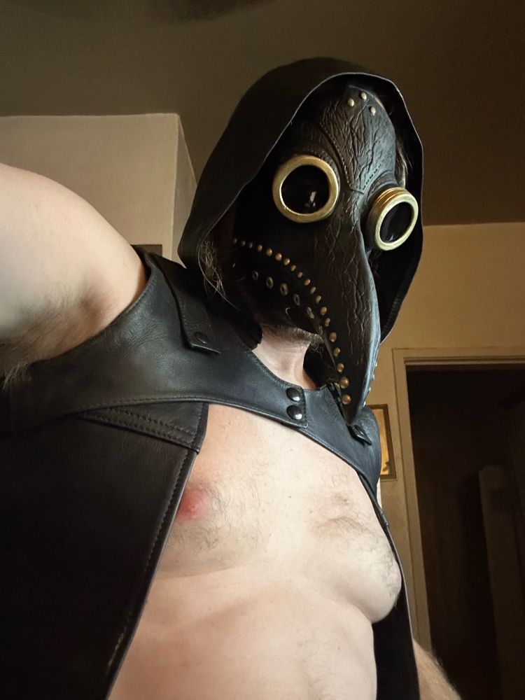 Me in a gash mask and leather hood and vest. 