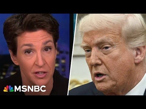 Trump's authoritarian push stumbles as resistance diversifies and grows