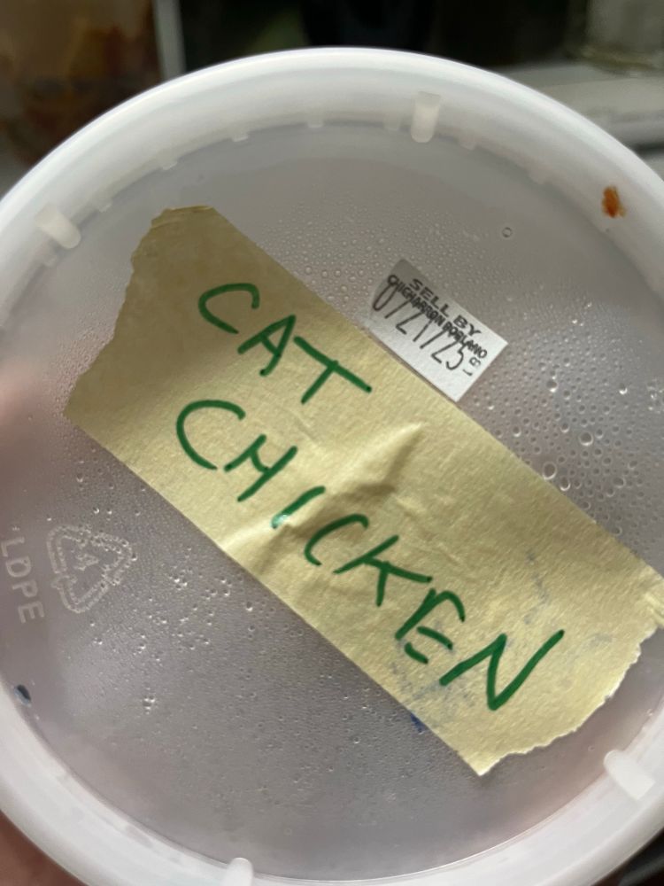 A pint container with a masking tape label that says “cat chicken”