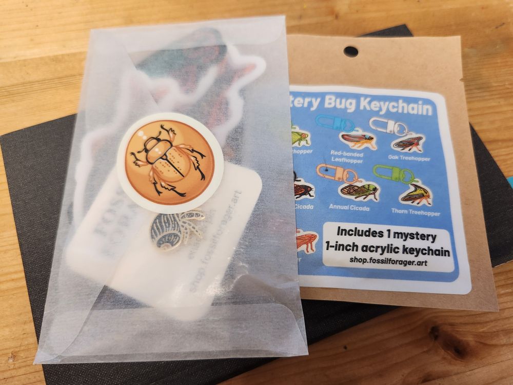 Small merch haul from Fossil Forager.