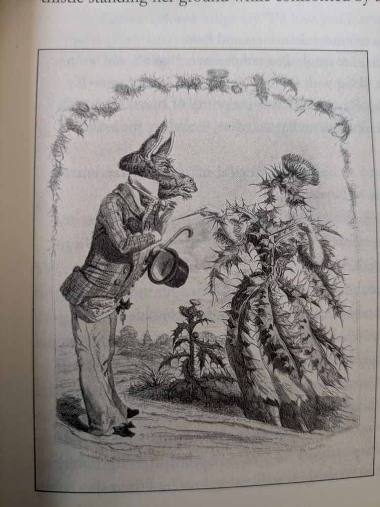 A black and white drawing depicting a man slightly bowing forward to a woman. The man is dressed in a suit with a cane and top hat in his hands and he has the head of a donkey or similar creature. The woman is dressed in a gown that appears to be made of thistle leaves, including the spikes. She has a hat on her head with spikes and a thistle flower on top. She appears to be holding a long spine and is pointing it at the donkey man.