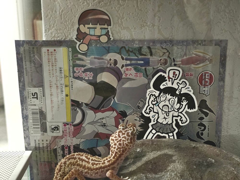 Poor Monoko being very scared of the creature