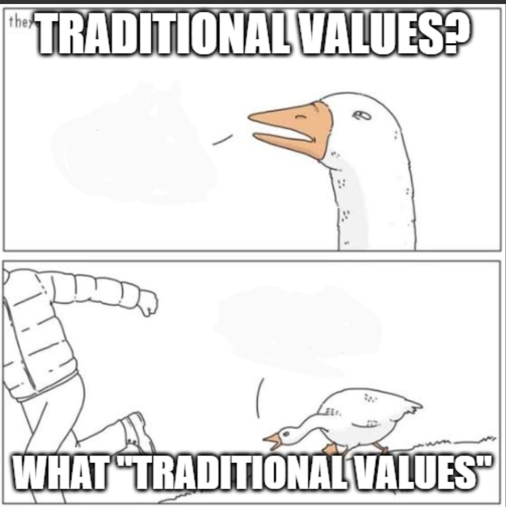 An angry goose says 'TRADITIONAL VALUES'

the next panel shows the goose chasing a human asking
WHAT 'TRADITIONAL VALUES