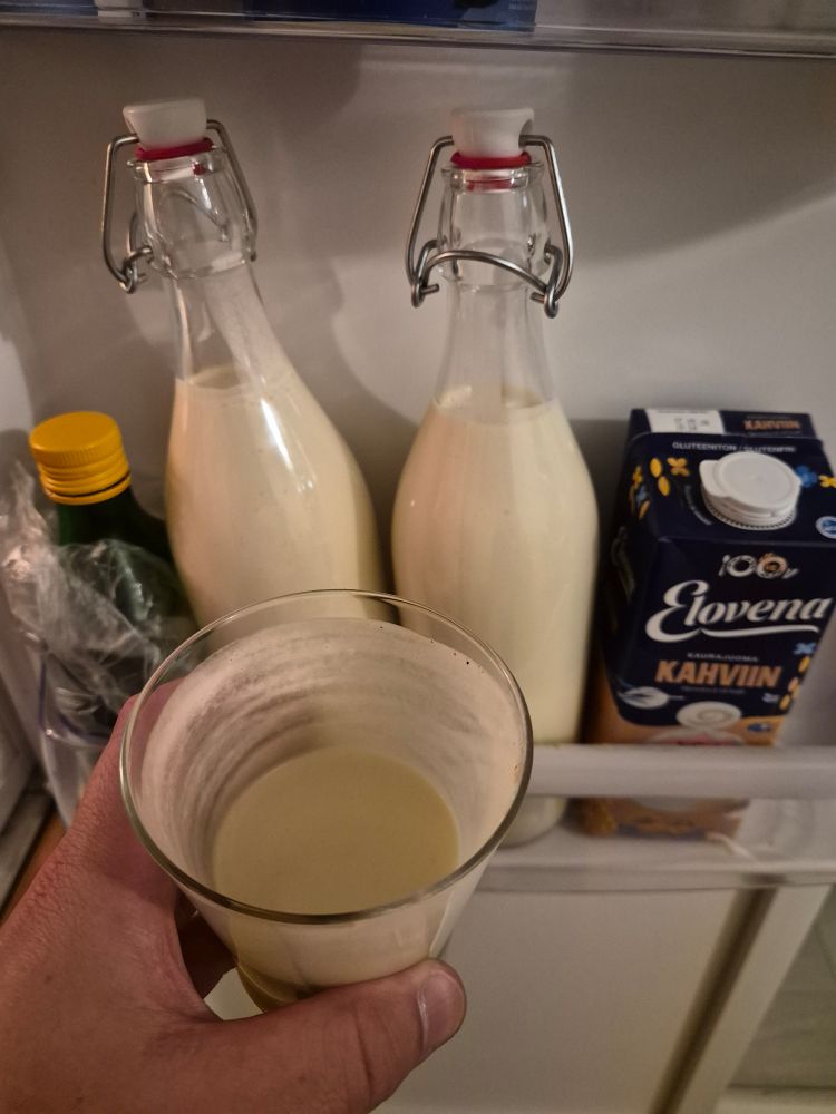 Kaksi lasipulloa täynnä munatotia jääkaapin ovessa. Kuvassa myös vajaa lasi totia kädessä.