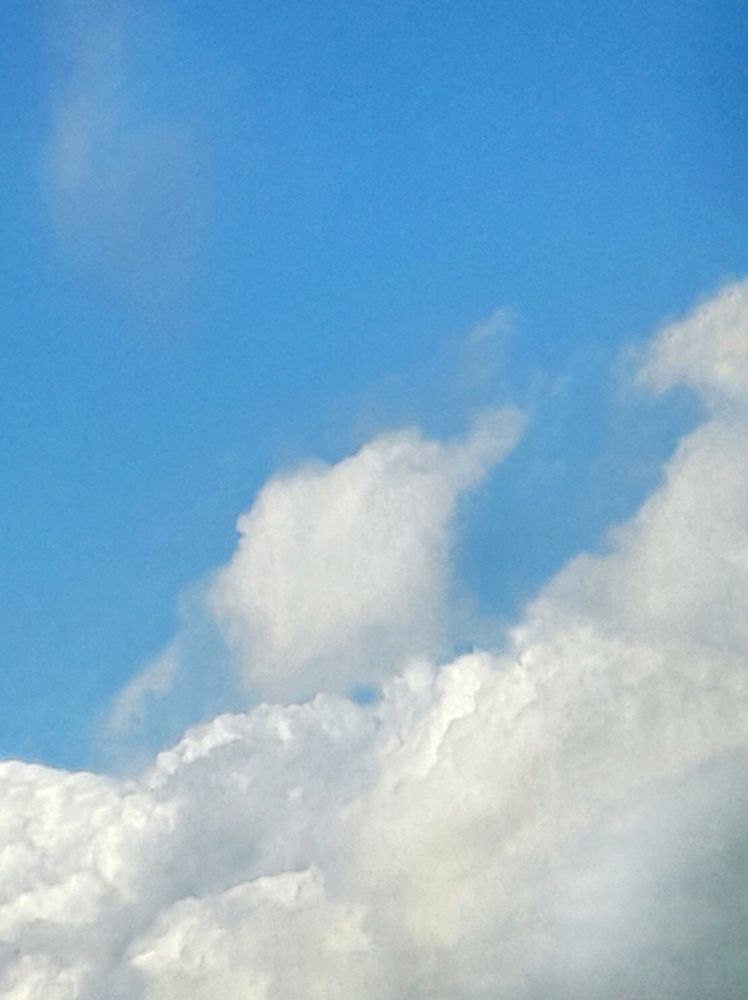 Сверху голубое небо, с оттенком лазури, а внизу белые облака, похожие на вату. Конечно же, фото ужасного качества, с большой долей зернистости.