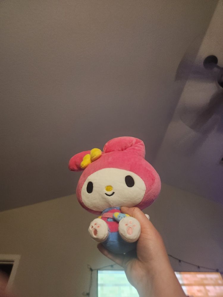 Me holding a my melody stuffed toy