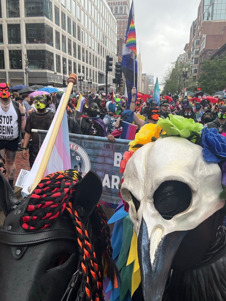 A rubber pony and crow march in Boston’s 2025 Pride parade.