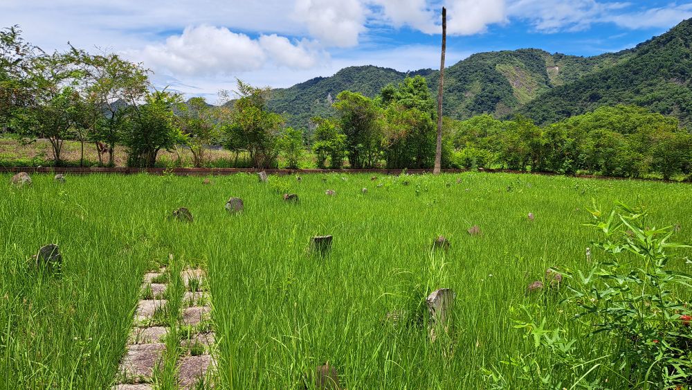 headstones of Qing era soldiers among small grass with blue sky, clouds and mountains in the background 