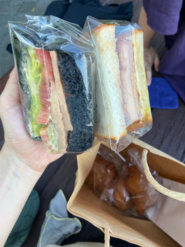 竹炭ベーグルのソイハムサンド
ソイハムカツサンド

あとはドーナツとクロワッサンとバゲットも買った
https://chayam.co.jp/earth-bakery/