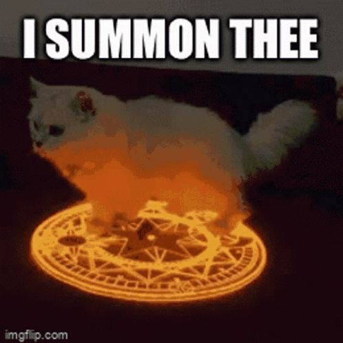 a cat is sitting in a circle of fire with the words " i summon thee " written above it