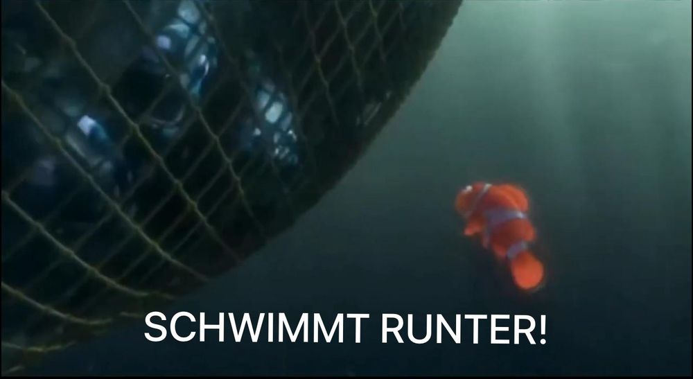 Findet-Nemo-Szene, in der Marlin einem Fischschwarm „Schwimmt runter“ sagt