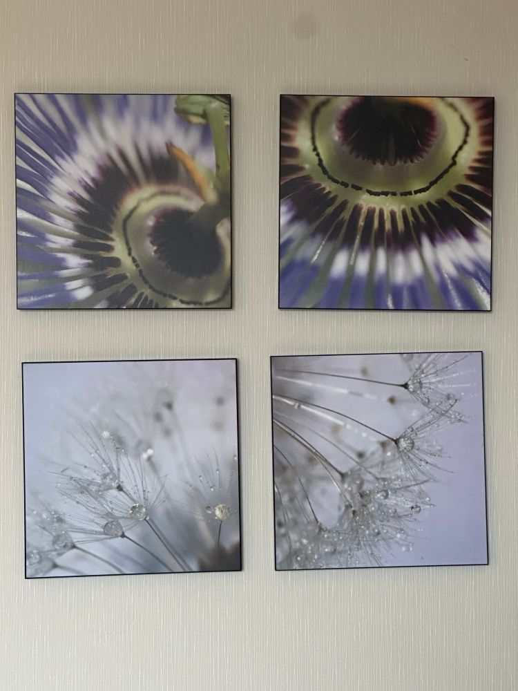Four poorly hung photographs, nothing is aligned. They are closeups of flower parts but not the sexy ones. Spiky. Ugly. Horrid. 