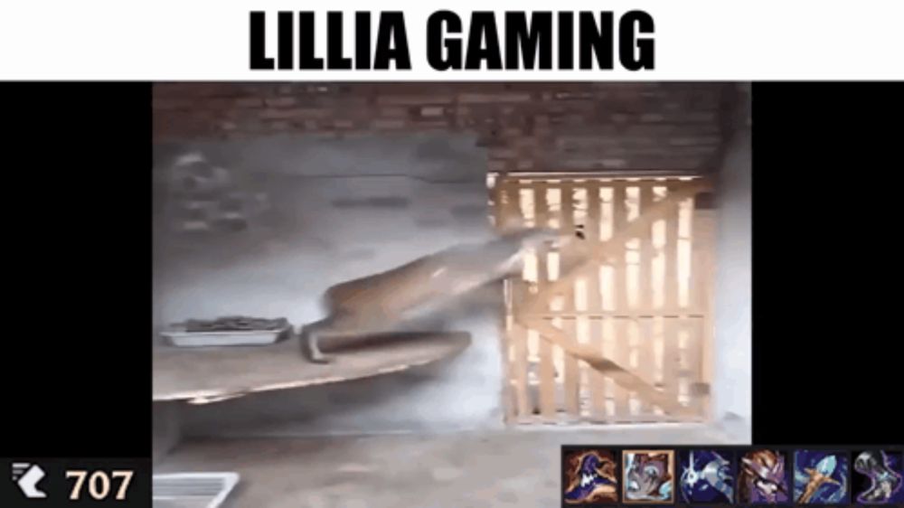 a screenshot of a video game with the words lillia gaming above it