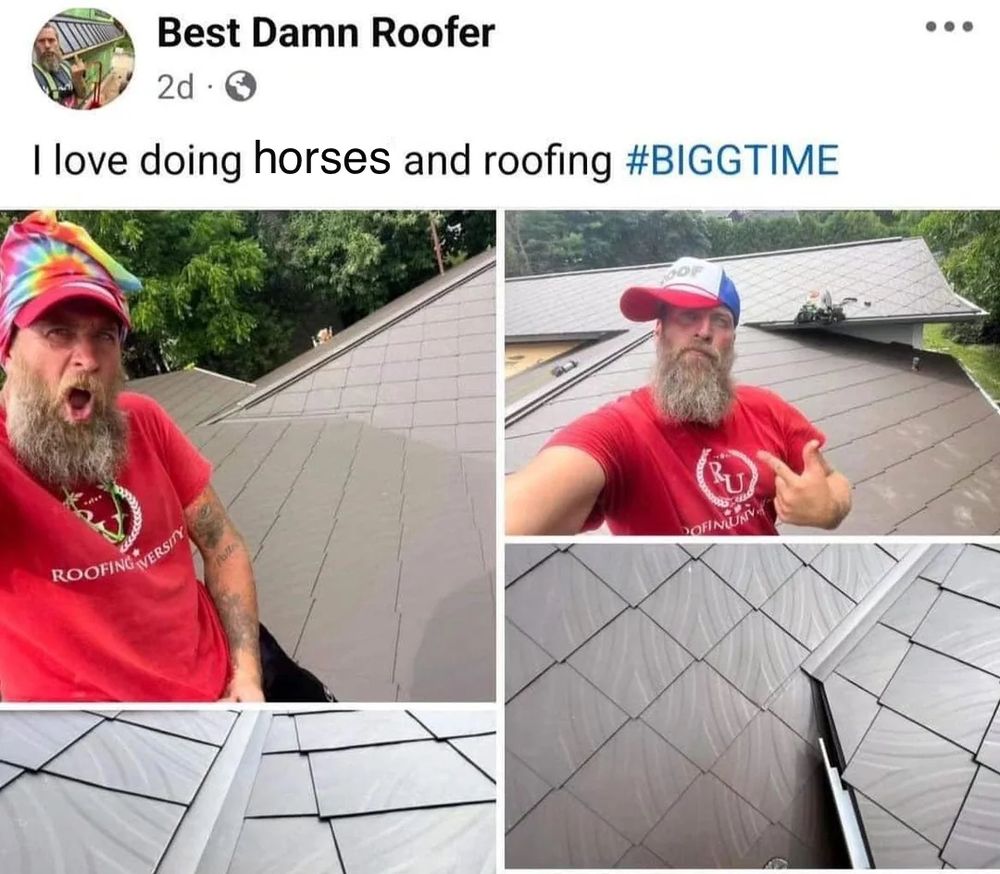 The "I love doing acid and roofing" Roofing University guy post, acid replaced with horses