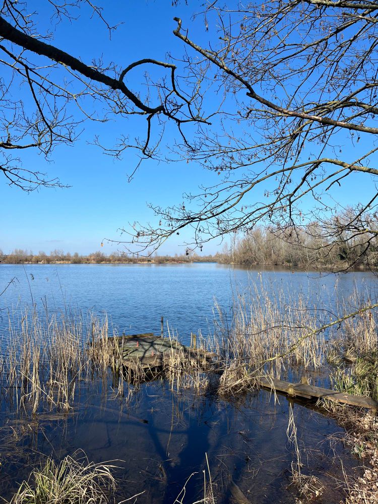 Blick auf einen See bei strahlendem Sonnenschein 