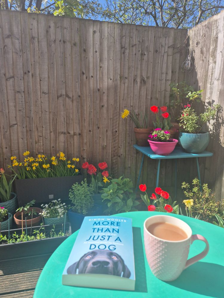 A copy of 'More Than Just a Dog' by Simon Wooler, next to a cup of tea on a garden table in the sunshine. There are colourful spring flowers in the background.