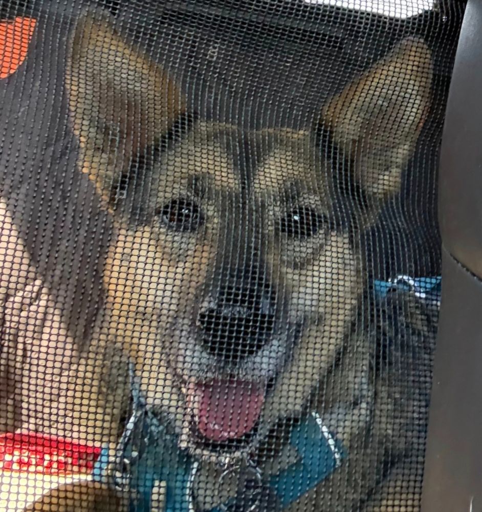 Close up of a smiling, bright-eyed Sophie looking directly at the camera