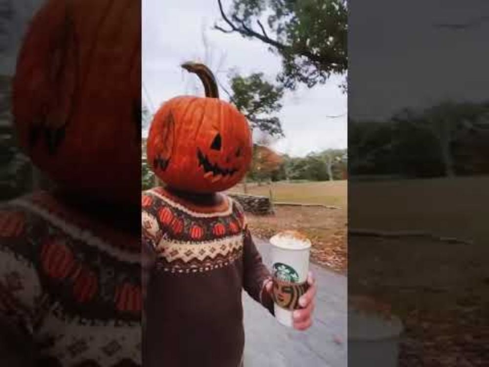 Pumpkin head Fleetwood Mac