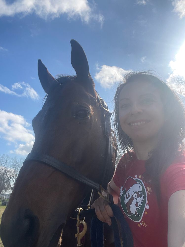A bay horse and a person wearing a Buc-ee shirt with a blue sky in the background 