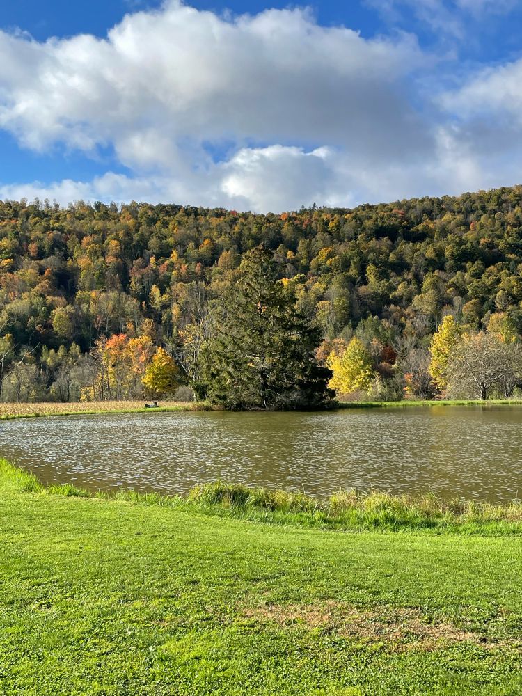 Fall foliage on the mountain with a pond in the forefront
