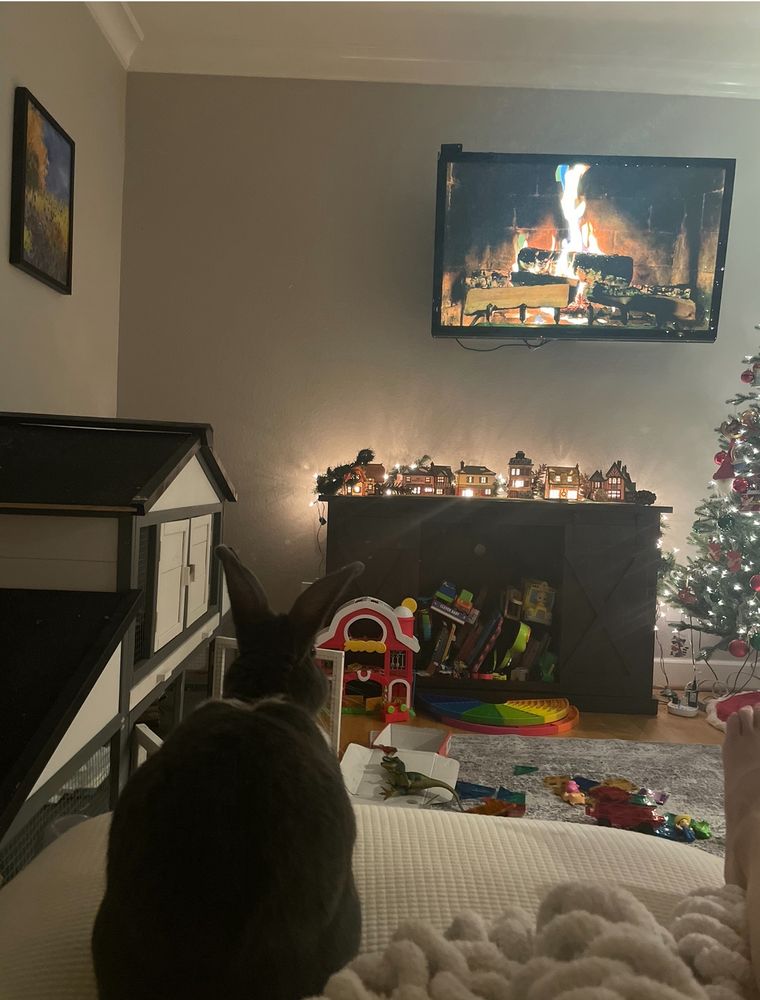 A bunny enjoying the holiday ambiance 