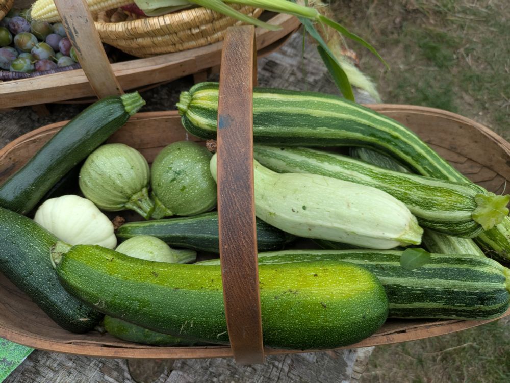 Only away for a week and there's a bit of a glut