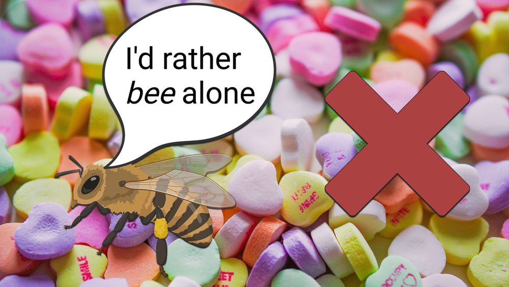 bee with a speech bubble saying "I'd rather bee alone" with valentines day candy hearts in the background