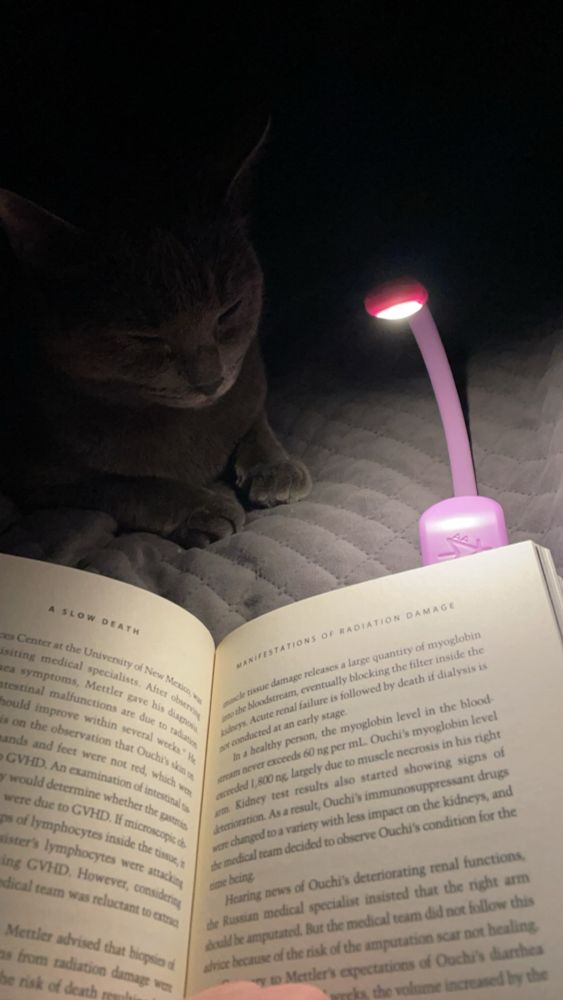 A book is opened with a booklight shining on it. A dark grey cat is partially seen in the dark behind the book