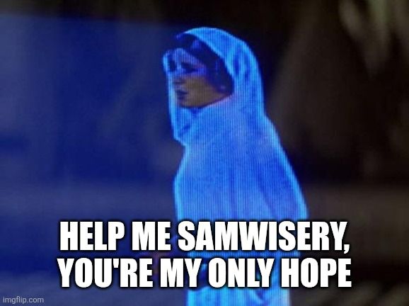 Screenshot of Princess Leia with text that says "help me samwisery, you're my only hope"