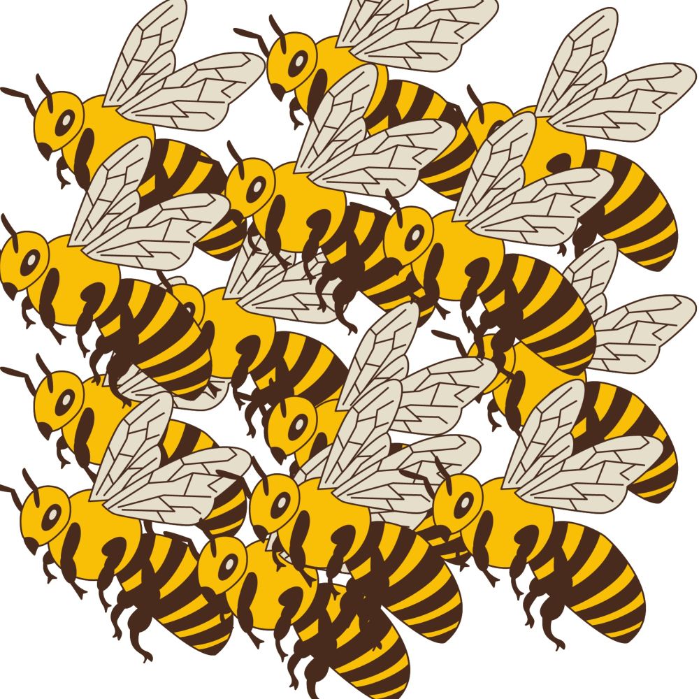 Abejas y asajas