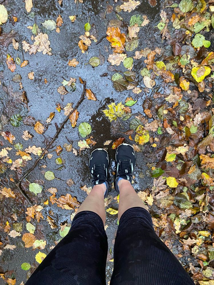 Bex’s trainers, standing on a wet path covered in leaves 