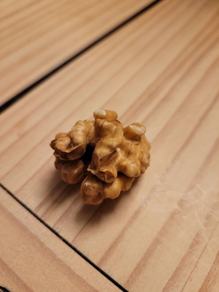 Ein komplett intakter Kern einer Walnuss liegt auf einem Holztisch