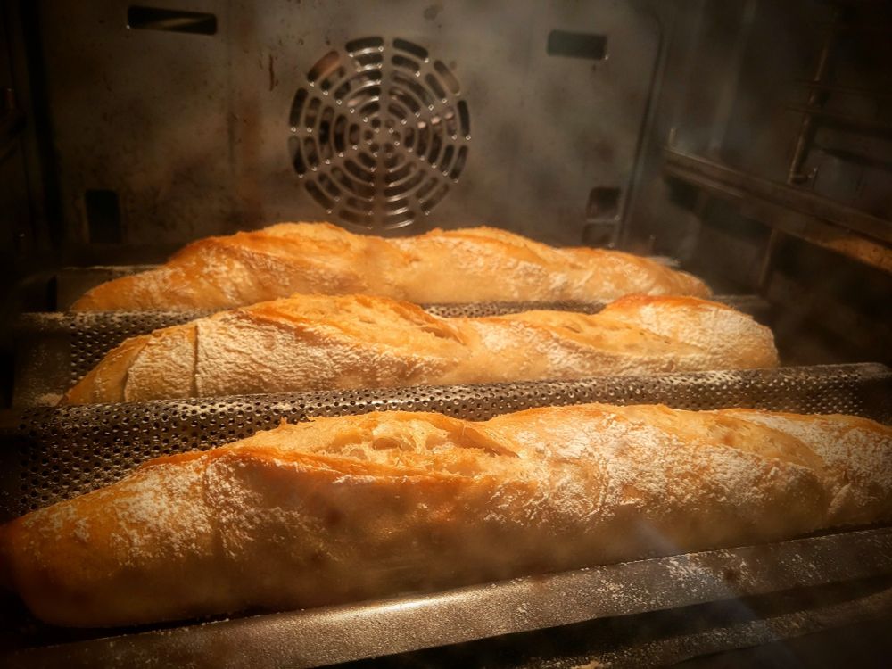 In einem Backofen liegen 4 beinahe fertig gebackene Baguettes