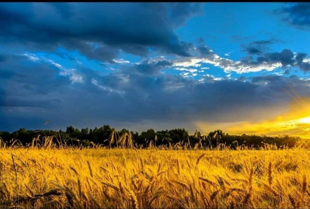 Ось справжнє блакитне небо 💙💛