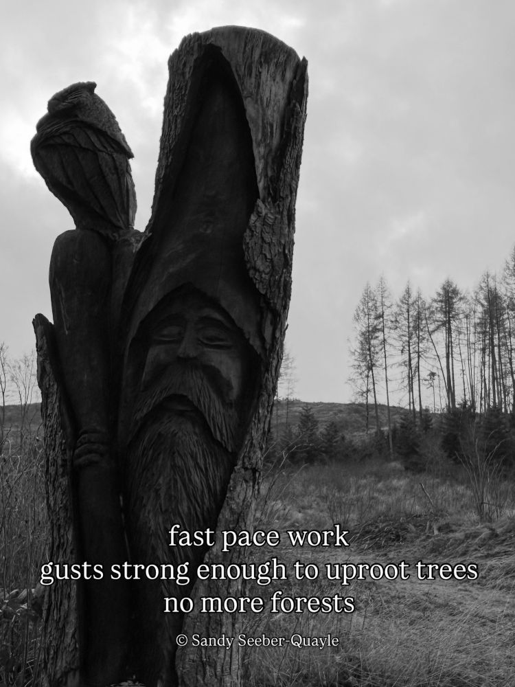 Black and white picture of a face carved in a tree stump on a hill formerly covered by forest and a haiku by poet Sandy Seeber quayle reading fast pace work 
gusts strong enough to uproot trees
no more forests 